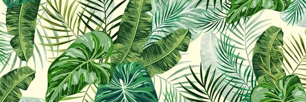 anabelengranado's profile banner image