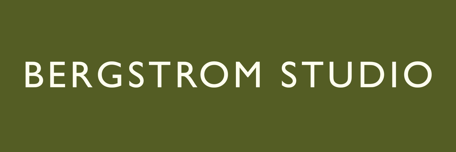 bergstromstudio banner