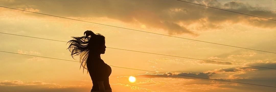 seiryukan's profile banner image