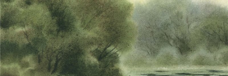 Lifee's profile banner image