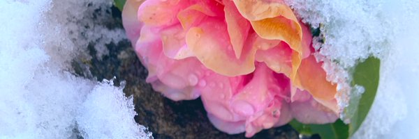 inner_psy Profile Banner