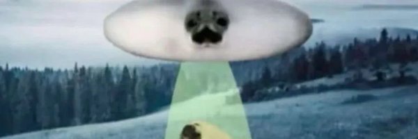 KayuinS Profile Banner