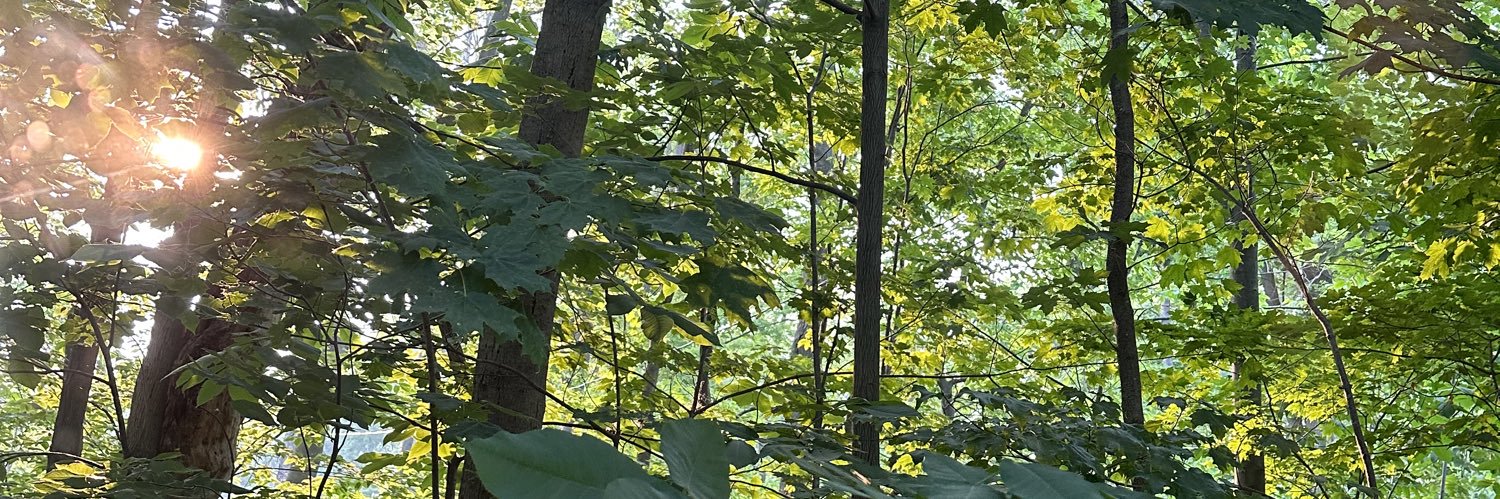 joeydoraski's profile banner image