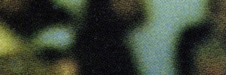nishvicious's profile banner image
