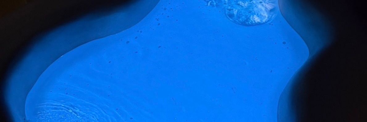 ayalsenior's profile banner image