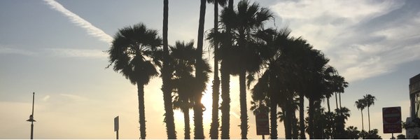 yolopey Profile Banner