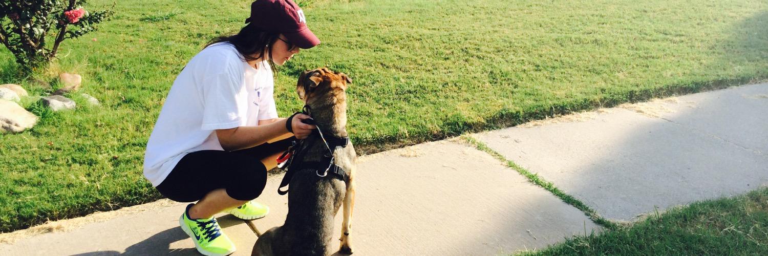 Caiti_Walker's profile banner image