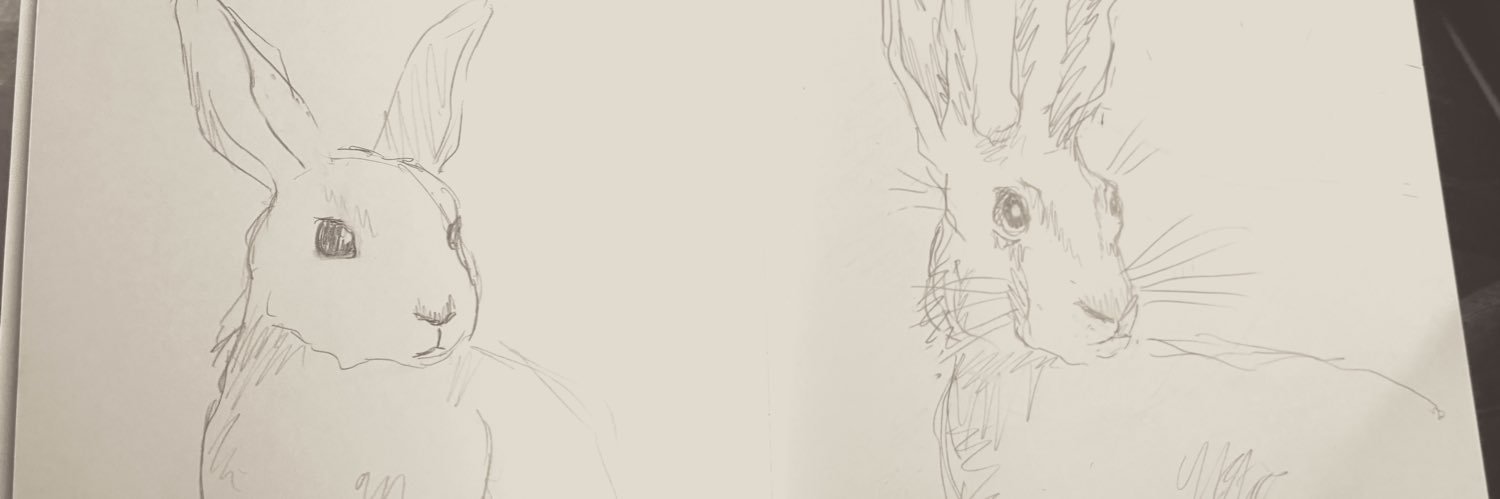 lifylez edtwt 🦢🪽 banner