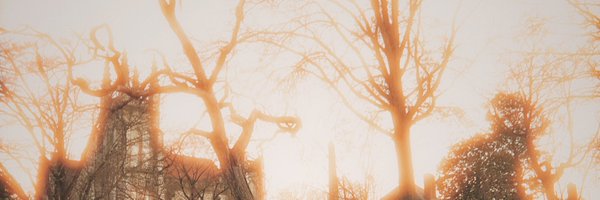 zashedar Profile Banner