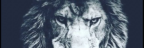 DubC_Nation Profile Banner