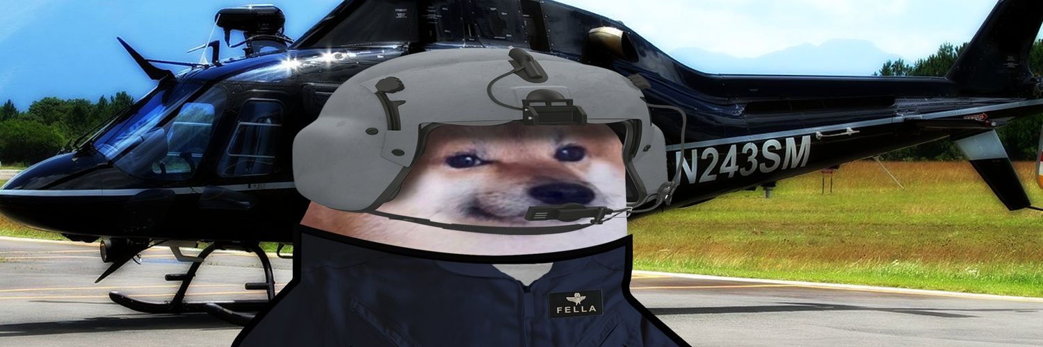 Koala Driver Fella 🇺🇸🚁🇺🇦's banner