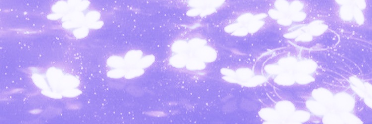 prin 🪻 banner