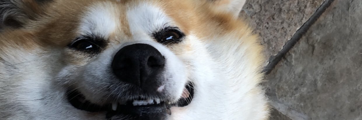 Christian Gabriel banner