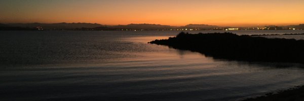 paleololo1 Profile Banner