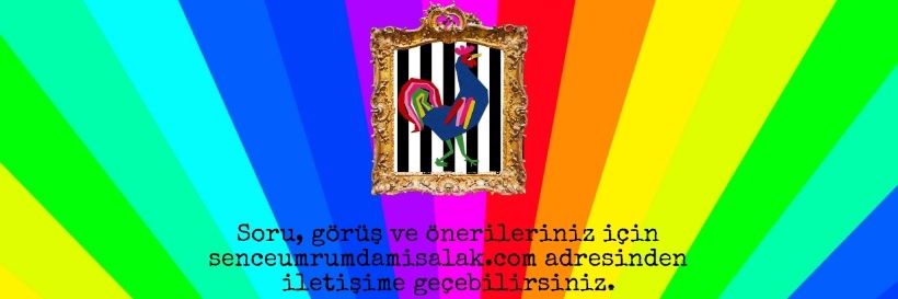 ALICNAVCI's profile banner image