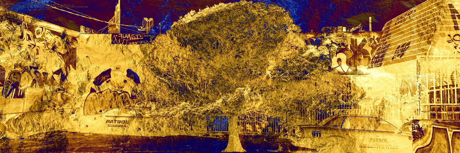 wildturkey.sol banner