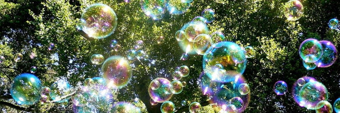 Elana Ellison banner