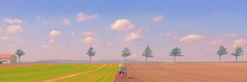 wing_solove's profile banner image
