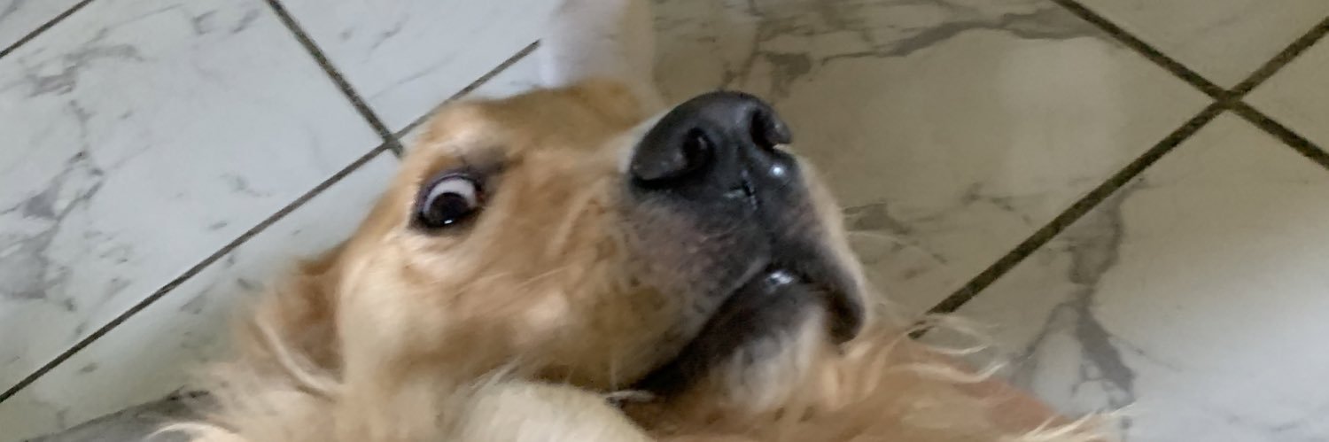 chris_ma17's profile banner image