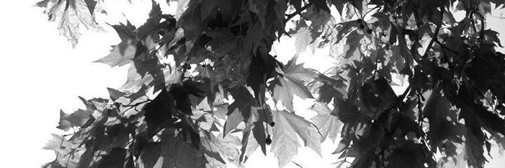 TulaySubasi's profile banner image