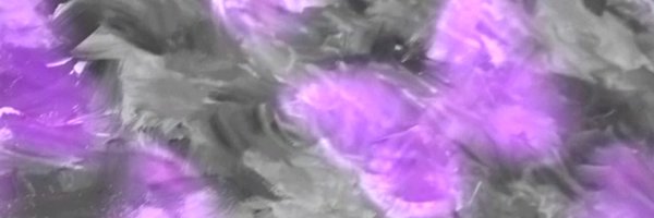 dmisaars Profile Banner