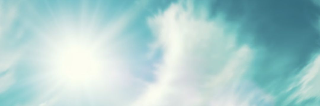 Samuel Monkey banner