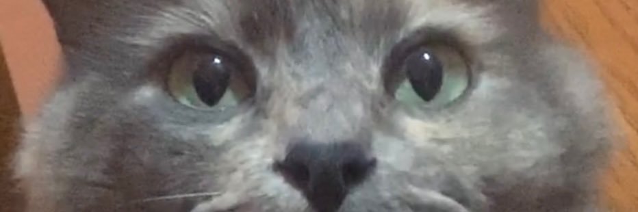 JandroOjeda's profile banner image