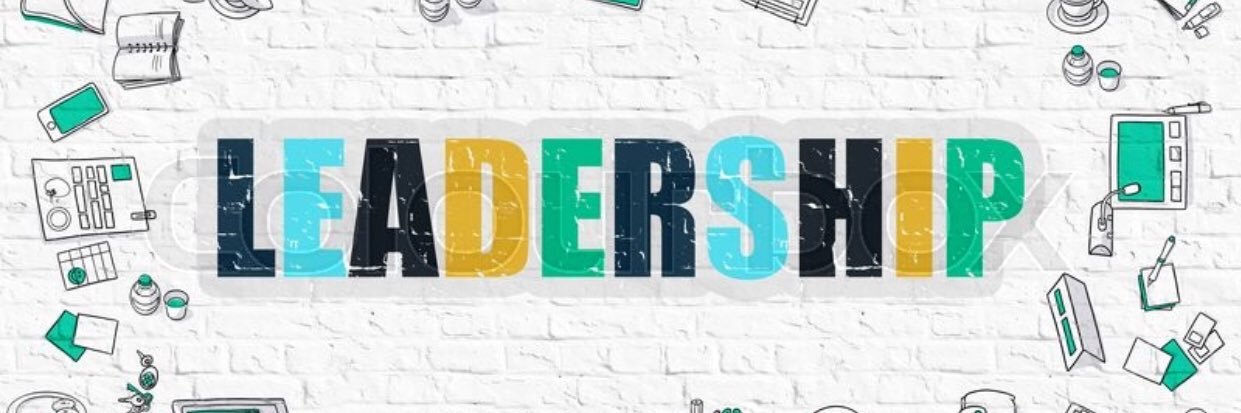 Tolvi Patterson banner