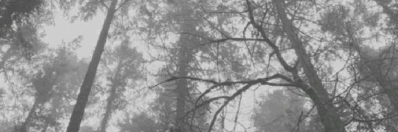 sirjorm's profile banner image