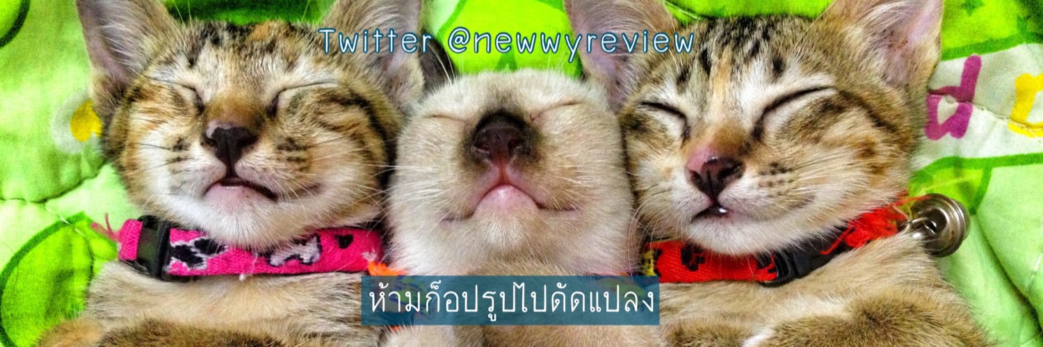 newwyreview's profile banner image