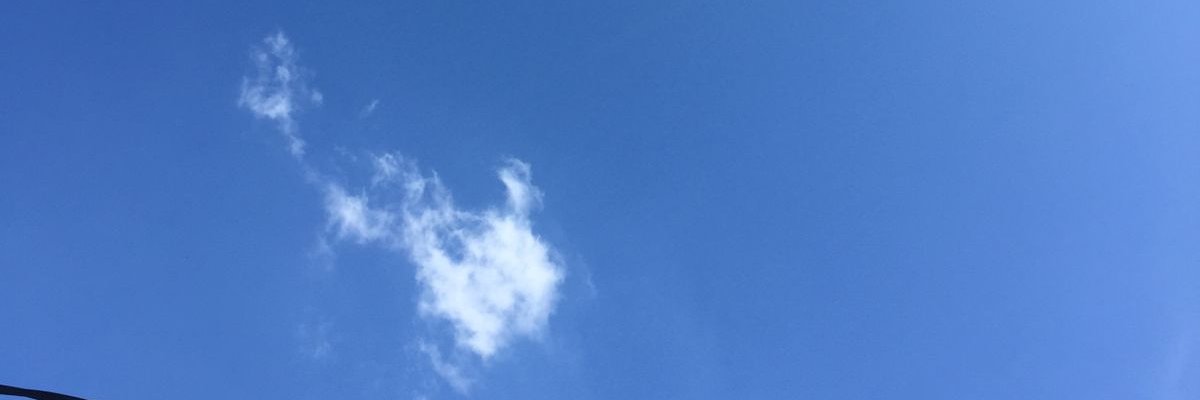 Chalshe's profile banner image
