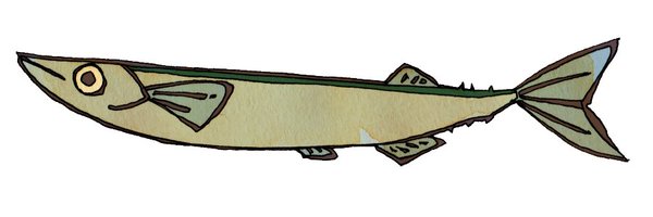 shimesaba_krm Profile Banner