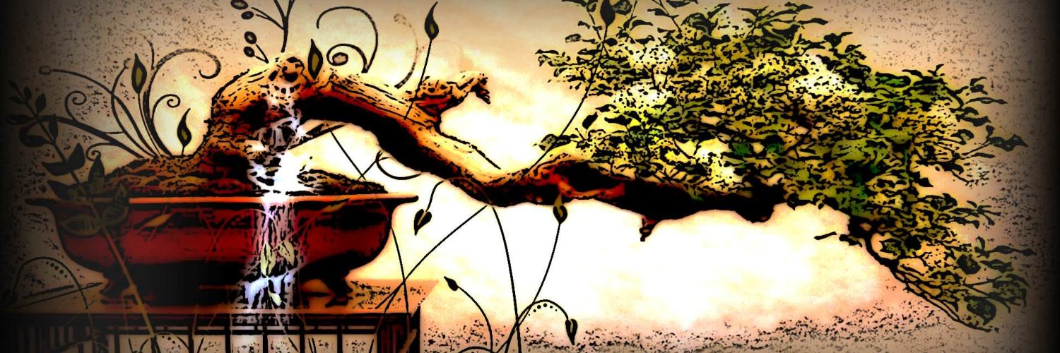 MarcoGutierrez banner