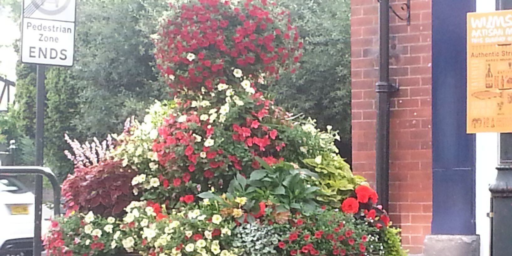 OakNurseries's profile banner image