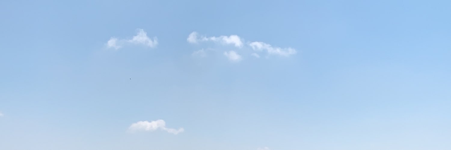 Assaf Mantzur banner