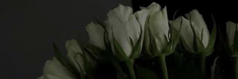 mocacanhdi's profile banner image