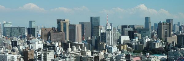 samthefoxfox Profile Banner