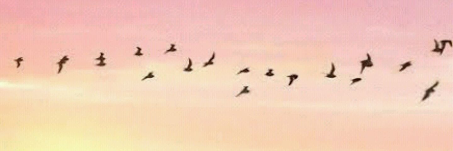 uk_kol's profile banner image