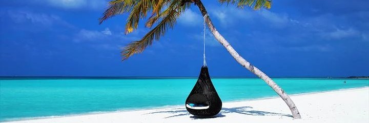 Todd__Ray's profile banner image