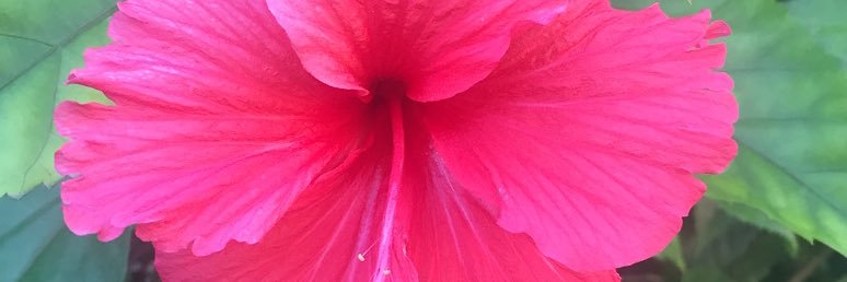 momo_ROKH's profile banner image