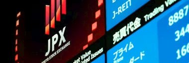 青猫投資家（あおねこ投資家 / Aoneko Investor） banner