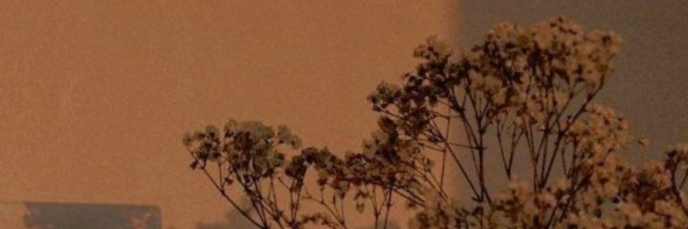 cecirivas_28's profile banner image