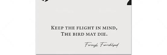 Ãlexia🕊️ banner