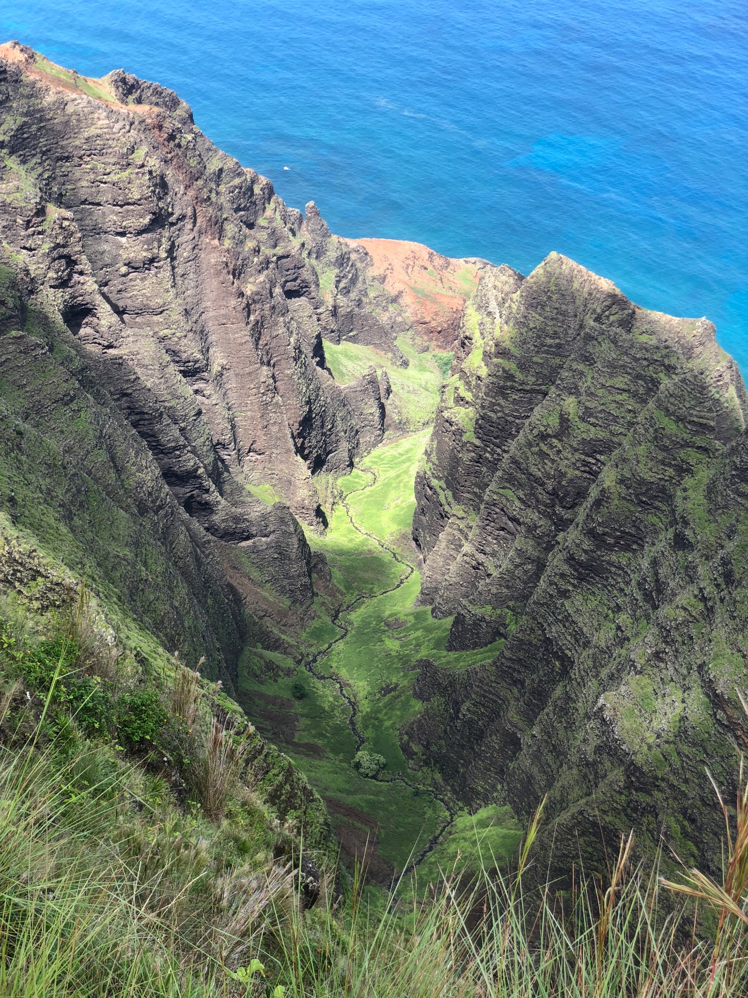 Lourdes Perez-Chada banner