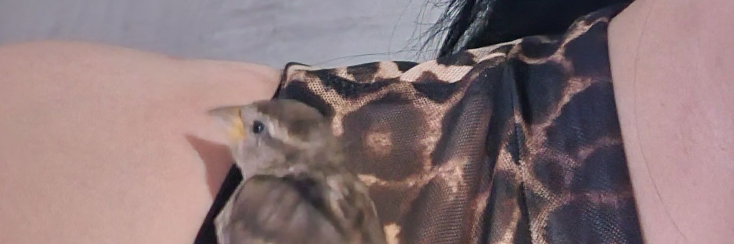 Garatzy's profile banner image