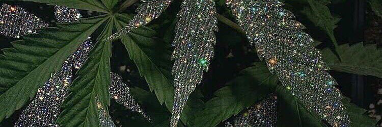 balykgulak🐚 banner