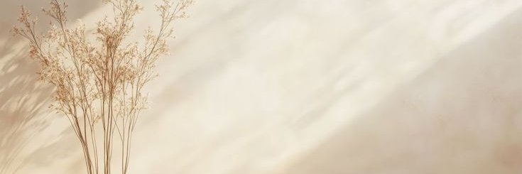 s22079007's profile banner image