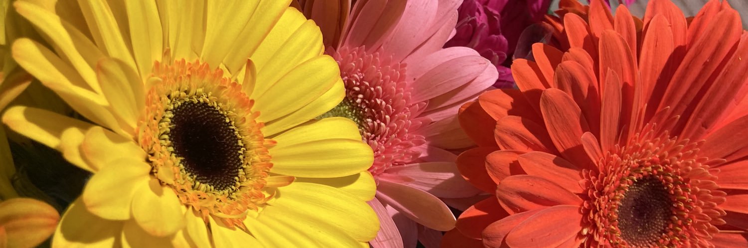 wutevvvaa's profile banner image