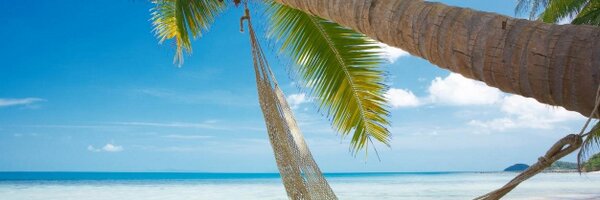 Leon_1588 Profile Banner