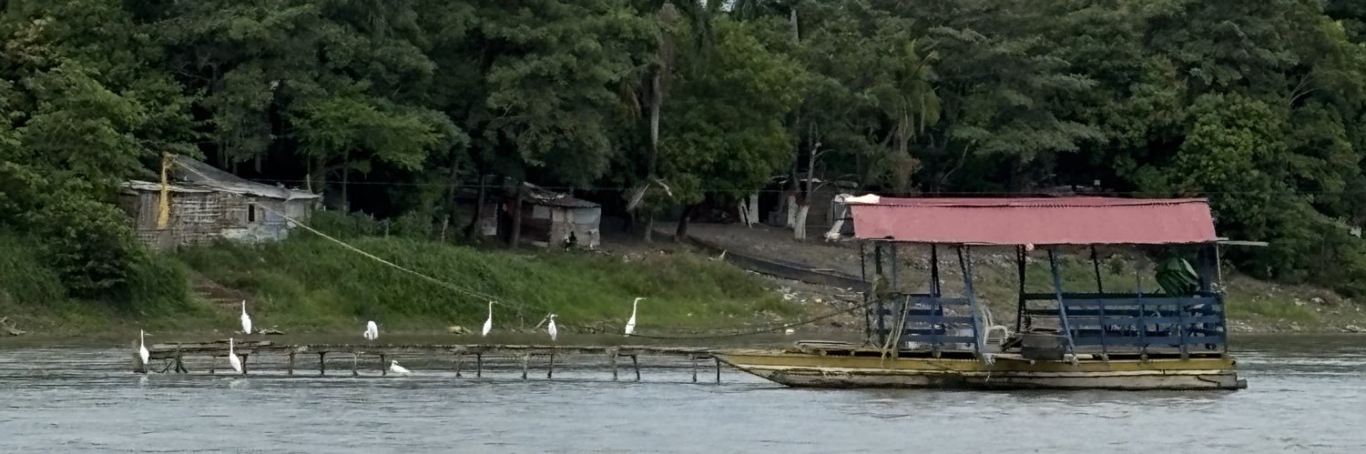 Javier Cormane banner